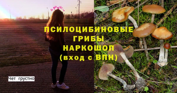mix Алексеевка